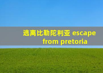 逃离比勒陀利亚 escape from pretoria